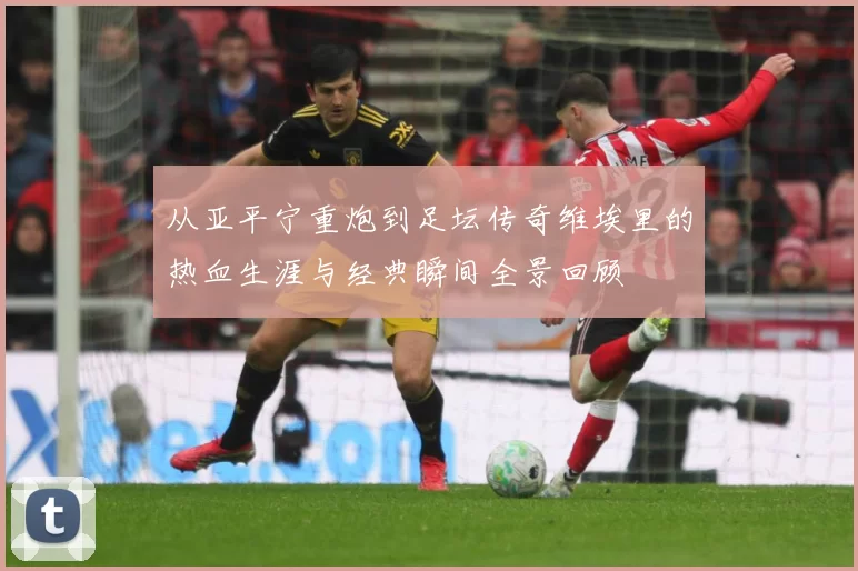 从亚平宁重炮到足坛传奇维埃里的热血生涯与经典瞬间全景回顾