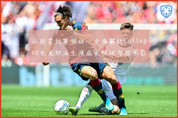 从新星到赛场核心全面解析Collapse电竞职业生涯成长轨迹与战术影响力