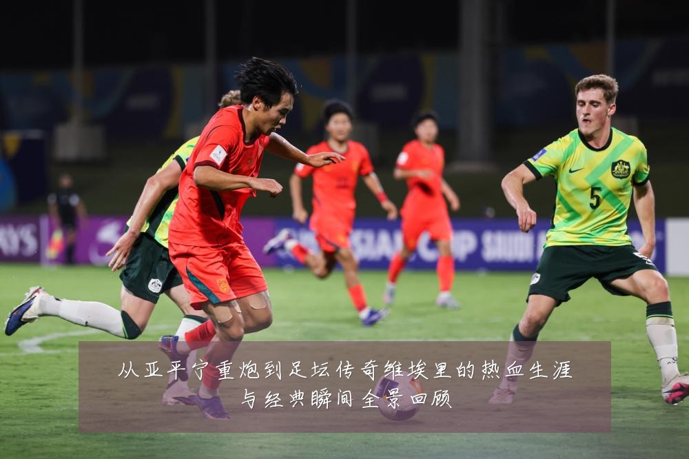 从亚平宁重炮到足坛传奇维埃里的热血生涯与经典瞬间全景回顾